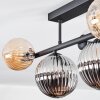 Chehalis Plafoniera, Lampada a sfera Ambrato, Chiaro, Grigio fumo, 5-Luci