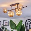 Chehalis Plafoniera, Lampada a sfera Ambrato, 5-Luci