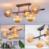Chehalis Plafoniera, Lampada a sfera Ambrato, 5-Luci
