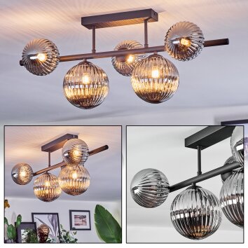Chehalis Plafoniera, Lampada a sfera Grigio fumo, 5-Luci