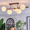 Chehalis Plafoniera, Lampada a sfera Bianco, 5-Luci