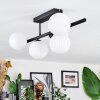 Chehalis Plafoniera, Lampada a sfera Bianco, 5-Luci