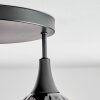 Rafel Plafoniera Nero, 3-Luci