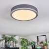 Salmi Plafoniera, Panel LED Grigio, Argento, 1-Luce