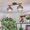 Koyoto Plafoniera, Lampada a sfera Chiaro, Grigio fumo, 2-Luci