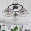 Ripoll Plafoniera, Lampada a sfera Chiaro, Grigio fumo, 3-Luci