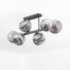Ripoll Plafoniera, Lampada a sfera Grigio fumo, 6-Luci