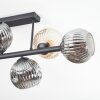 Ripoll Plafoniera, Lampada a sfera Ambrato, Grigio fumo, 6-Luci