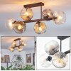 Ripoll Plafoniera, Lampada a sfera Ambrato, Chiaro, Grigio fumo, 6-Luci