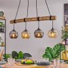 Ripoll Lampadario a sospensione, Lampada a sfera, Lampada a sospensione Écru, Nero, 4-Luci