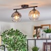 Koyoto Plafoniera, Lampada a sfera Ambrato, Chiaro, Grigio fumo, 2-Luci