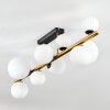 Chehalis Plafoniera, Lampada a sfera Oro, Nero, 10-Luci