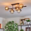 Gastor Plafoniera, Lampada a sfera Ambrato, Chiaro, Grigio fumo, 5-Luci