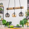 Koyoto Lampadario a sospensione, Lampada a sfera, Lampada a sospensione Écru, Nero, 3-Luci