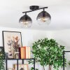 Koyoto Plafoniera, Lampada a sfera Chiaro, Grigio fumo, 2-Luci
