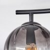 Koyoto Plafoniera, Lampada a sfera Chiaro, Grigio fumo, 2-Luci