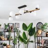 Chehalis Plafoniera, Lampada a sfera Oro, Nero, 10-Luci