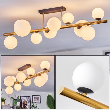 Chehalis Plafoniera, Lampada a sfera Oro, Nero, 10-Luci