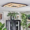 Lidor Plafoniera LED Antracite, Grigio, Nero, 1-Luce