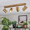 Javel Plafoniera, Faretto da soffitto Oro, 4-Luci