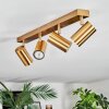 Javel Plafoniera, Faretto da soffitto Oro, 4-Luci
