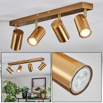 Javel Plafoniera, Faretto da soffitto Oro, 4-Luci