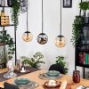 Gastor Lampadario a sospensione, Lampada a sfera, Lampada a sospensione Ambrato, Grigio fumo, 3-Luci