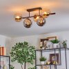 Gastor Plafoniera, Lampada a sfera Ambrato, Grigio fumo, 5-Luci