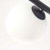 Gastor Plafoniera, Lampada a sfera Bianco, 5-Luci
