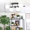 Gastor Plafoniera, Lampada a sfera Bianco, 5-Luci