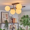 Gastor Plafoniera, Lampada a sfera Bianco, 5-Luci