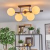 Gastor Plafoniera, Lampada a sfera Bianco, 5-Luci