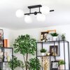 Gastor Plafoniera, Lampada a sfera Bianco, 5-Luci