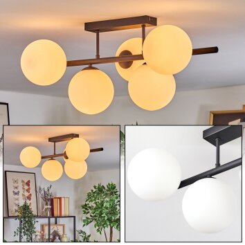Gastor Plafoniera, Lampada a sfera Bianco, 5-Luci