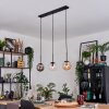 Gastor Lampadario a sospensione, Lampada a sfera, Lampada a sospensione Ambrato, Chiaro, Grigio fumo, 3-Luci