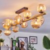 Chehalis Plafoniera, Lampada a sfera Oro, Nero, 10-Luci