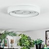 Rarel Plafoniera LED Argento, Bianco, 1-Luce