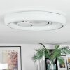 Rarel Plafoniera LED Argento, Bianco, 1-Luce
