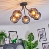 Koyoto Plafoniera, Lampada a sfera 52 cm Grigio fumo, 5-Luci
