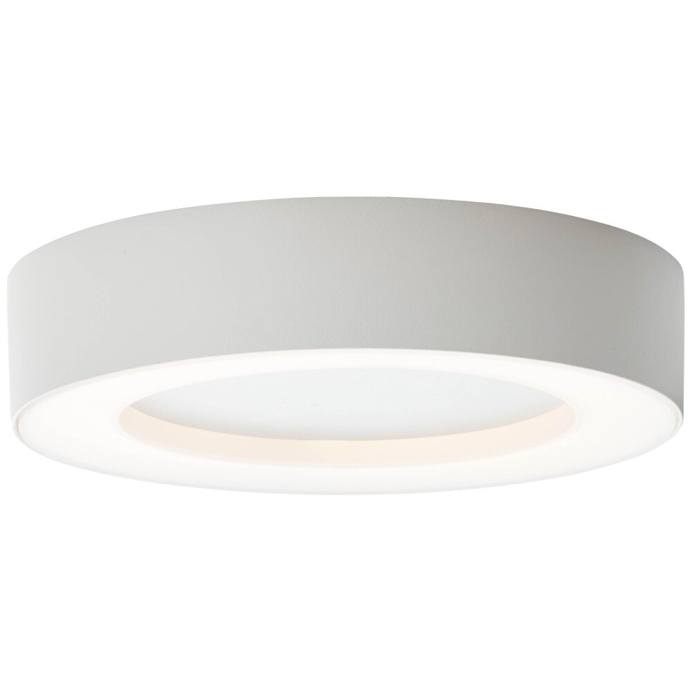 Brillliant Whittaker Plafoniera da esterno LED Bianco, 1-Luce main product photo