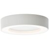 Brillliant Whittaker Plafoniera da esterno LED Bianco, 1-Luce