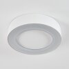 Paleroo Plafoniera da esterno LED Bianco, 1-Luce