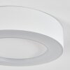 Paleroo Plafoniera da esterno LED Bianco, 1-Luce