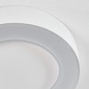 Paleroo Plafoniera da esterno LED Bianco, 1-Luce