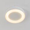 Paleroo Plafoniera da esterno LED Bianco, 1-Luce