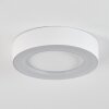 Paleroo Plafoniera da esterno LED Bianco, 1-Luce