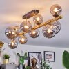 Chehalis Plafoniera, Lampada a sfera Oro, Nero, 10-Luci