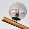 Chehalis Plafoniera, Lampada a sfera Oro, Nero, 10-Luci