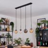 Gastor Lampadario a sospensione, Lampada a sfera, Lampada a sospensione Ambrato, Chiaro, Grigio fumo, 4-Luci
