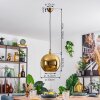 Koyoto Lampadario a sospensione, Lampada a sfera, Lampada a sospensione Oro, 1-Luce